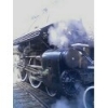 union600's Photo