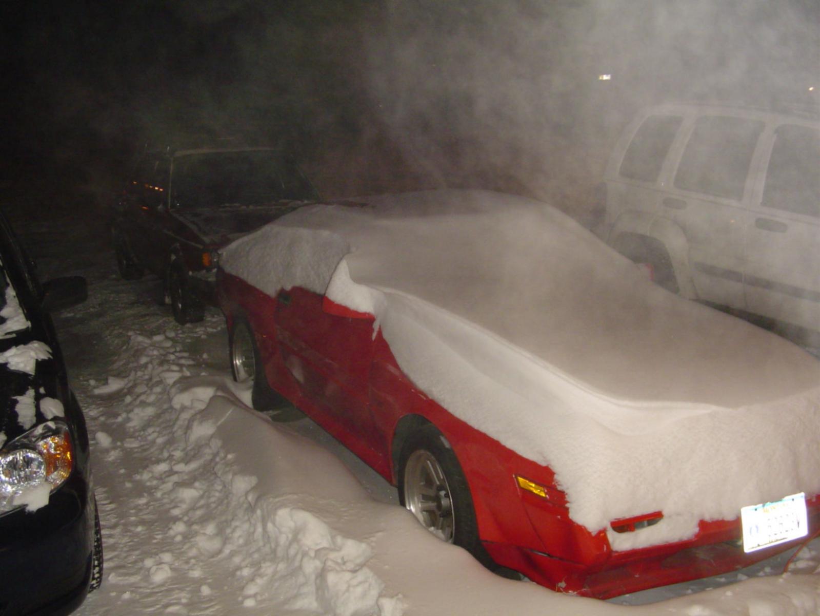 First winter in Montana
