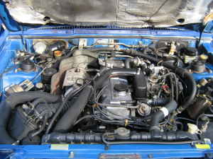 blue tsi 1.jpg