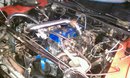 181934_10150197620052575_674507574_9038827_3593926_s.jpg