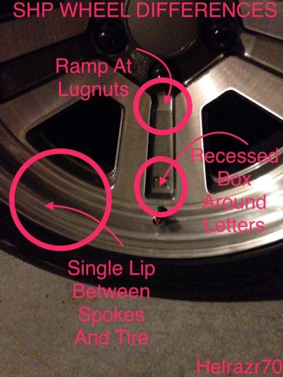 SHP rims by Chris Martin.jpg