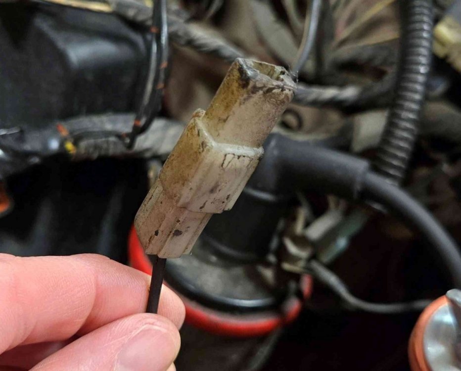 mystery plug 2.jpg